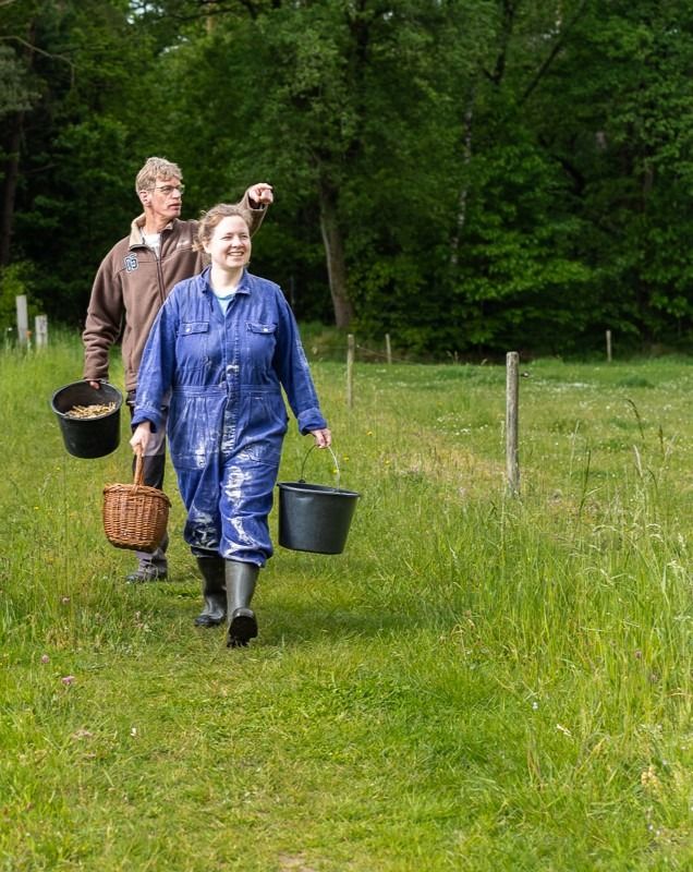 twee mensen lopen door de wei en kijken naar links